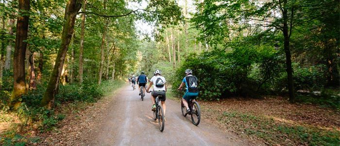 Fahrradgruppe auf Waldweg