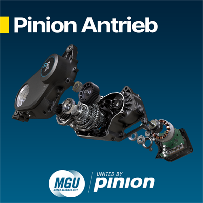 Pinion